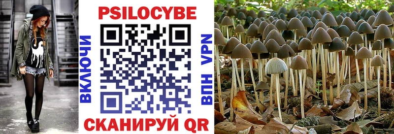 Псилоцибиновые грибы мицелий  Ясногорск 